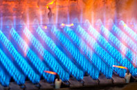 Headley Park gas fired boilers